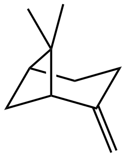 β-蒎烯,98%
